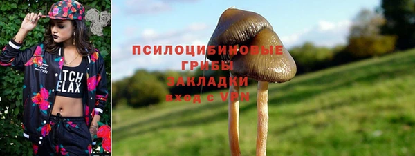 стафф Алексеевка