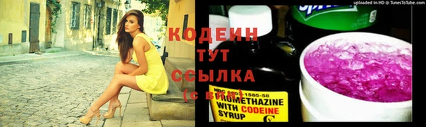 2c-b Алзамай