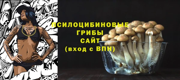 2c-b Алзамай