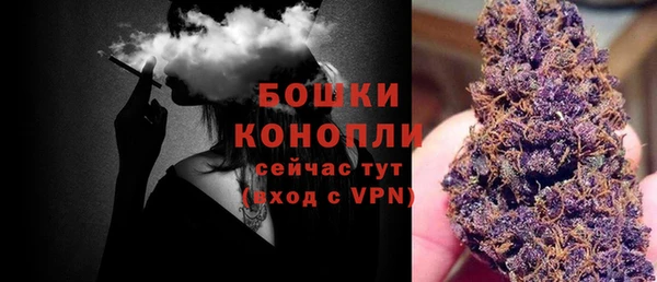 амф Протвино