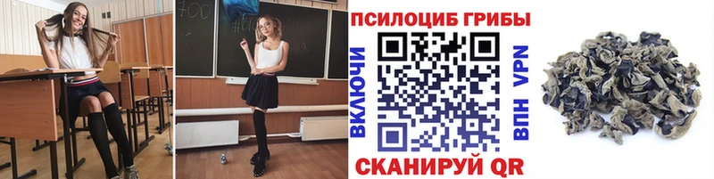 гидра ссылки  Нытва  Псилоцибиновые грибы MAGIC MUSHROOMS 